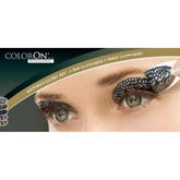 Nature's Glory Eye Shadow Kit